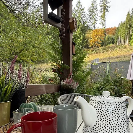 Klitzeklein Tinyhouse Mit Fass Sauna Сasa de vacaciones Olsberg